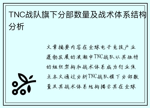TNC战队旗下分部数量及战术体系结构分析